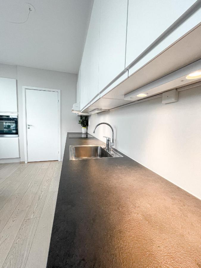 City Center Penthouse Apartment Oslo Eksteriør bilde